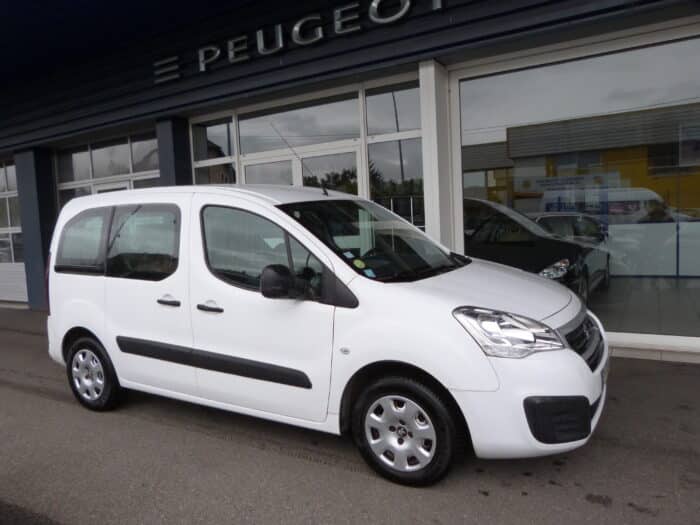 Peugeot partner tepee 1.6 bluehdi 100 cv active